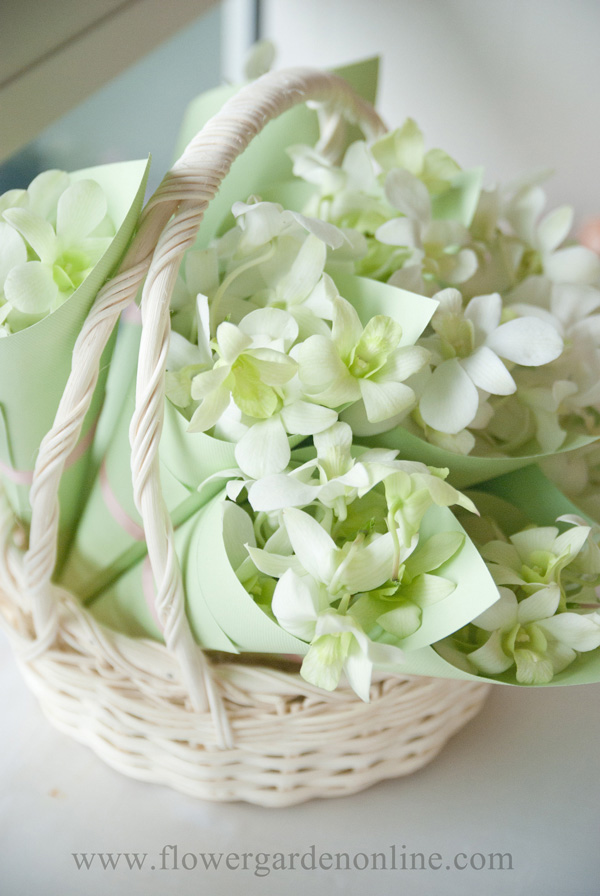 pullman_wedding_06
